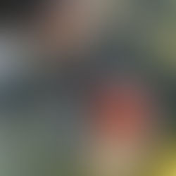 Exploring art at Forest School