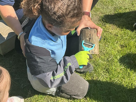 Using tools safely to whittle a hedgehog.