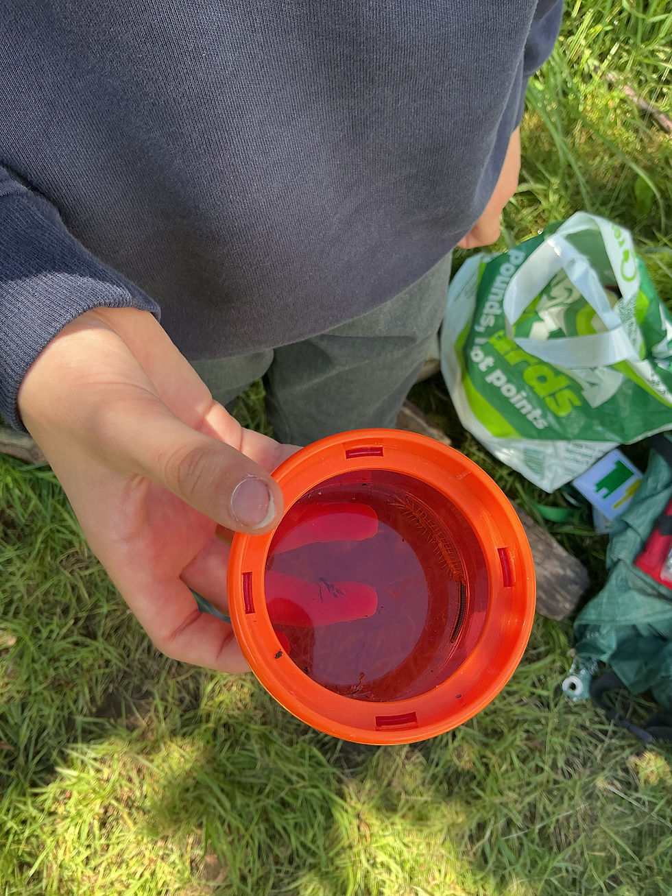 Year 3 Forest School