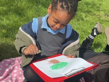 Observational drawings