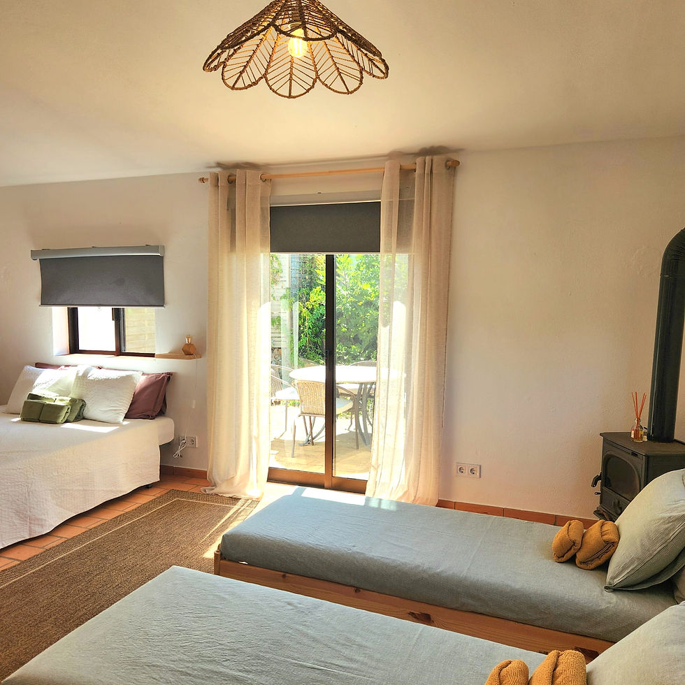 Twin beds Converted from Couch