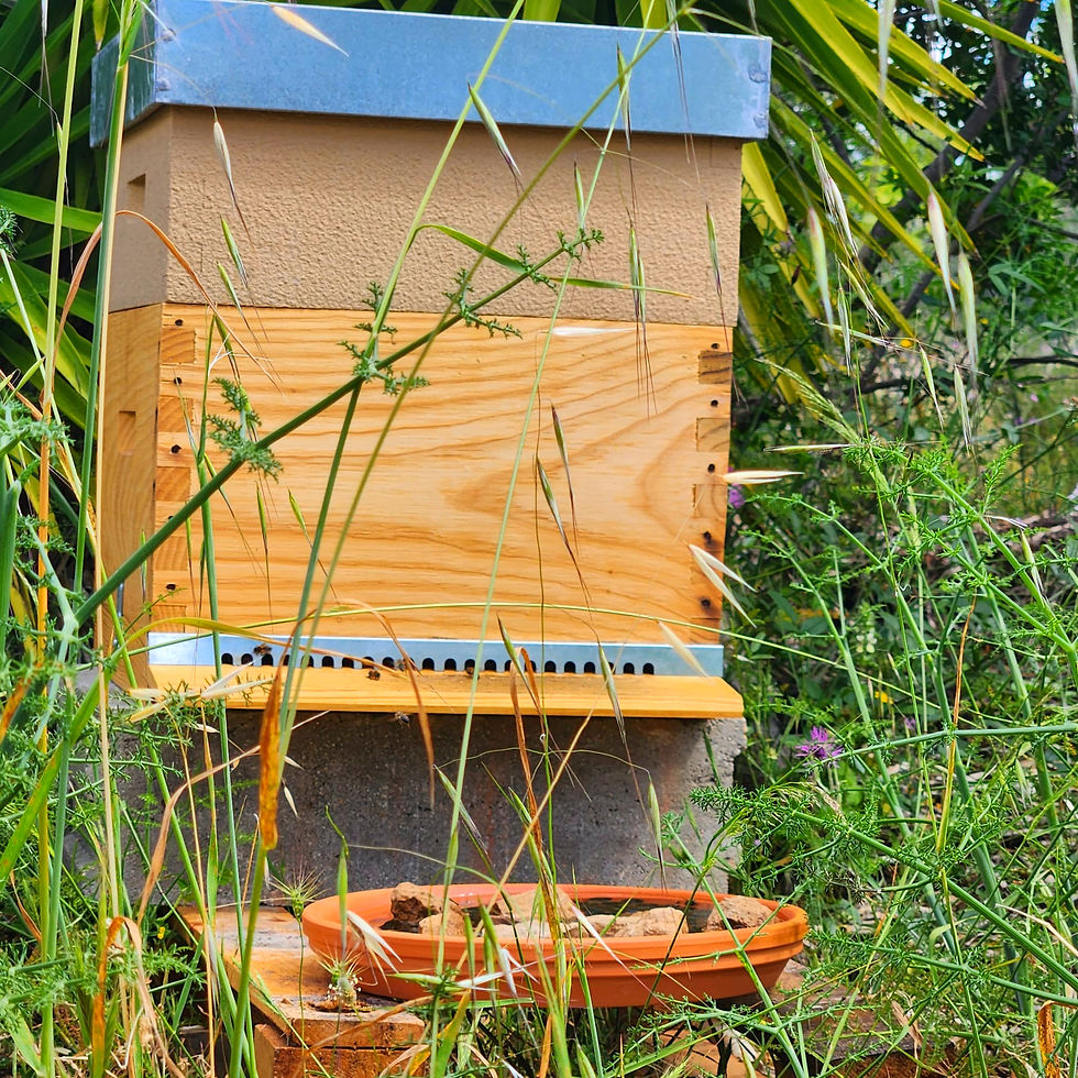 WhatsApp Image 2025-05-20 at 11.17_edited