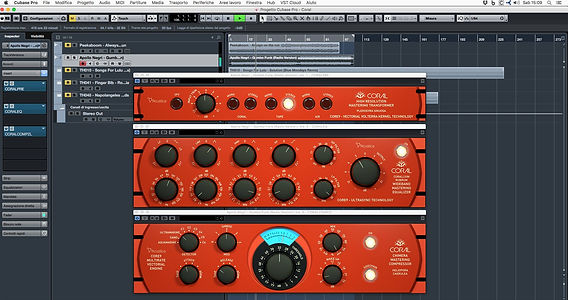 DTM・DAW Acustica Audio CORAL 2 Acustica Audio Coral : A great way to achieve pro-sounding and polishe
