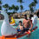 Miniatura: Paddle Family
