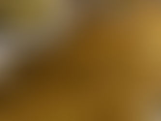 The Trier Roman Gold Coin Hoard: A Remarkable Discovery