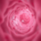 small particles in the inside of an artery .jpg