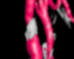 Carotid artery .jpg