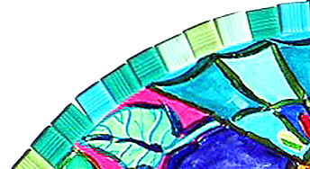 FOLLOW YP OCT 2021_edited_edited.png