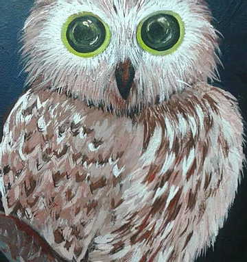 owls by eileenaart