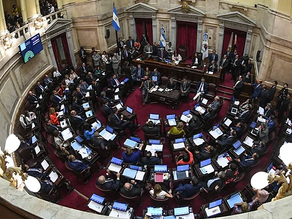 El Senado suspendió el tratamiento de la Ley de Alcohol Cero al Volante y lo pateó para marzo