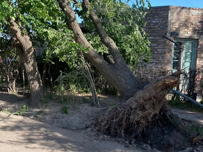 El tiempo Alvear: domingo algo nublado, con descenso de la temperatura / árboles caídos (fotos)