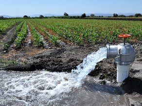 Buscan que las multas por el mal uso del agua se actualicen según la inflación