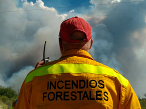 Combaten incendios forestales en varias hectáreas de General Alvear