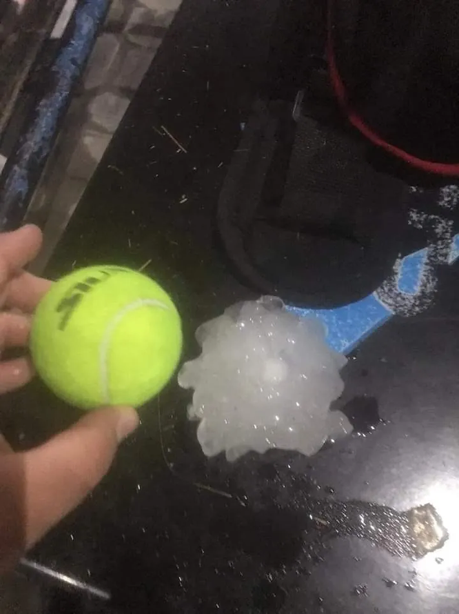 ree