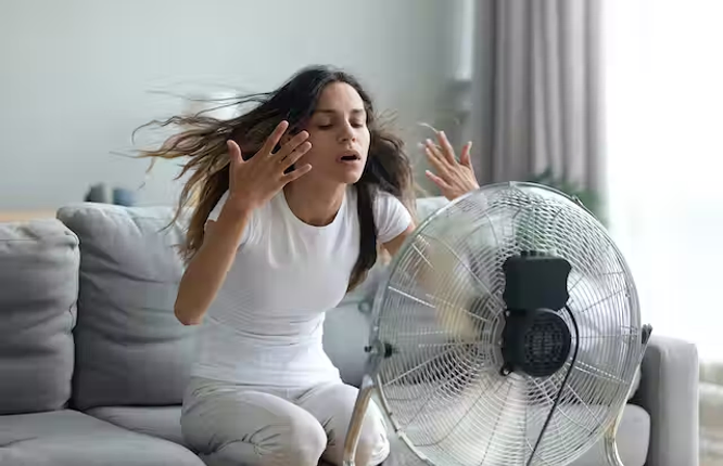 ree