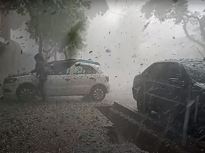 Árboles caídos, viviendas anegadas y derrumbes: todos los daños que la tormenta dejó en Mendoza