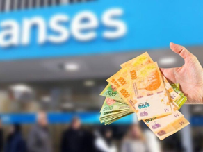 Anses: más de 800 mil personas tienen aprobado el Refuerzo Alimentario