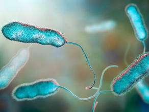 Legionella: revelaron que a principio de año se detectó un caso en Mendoza