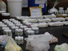 Desbarataron una banda que producía cocaína y operaba con laboratorios y farmacias