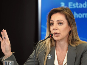 El Gobierno nacional postergó el aumento de la luz