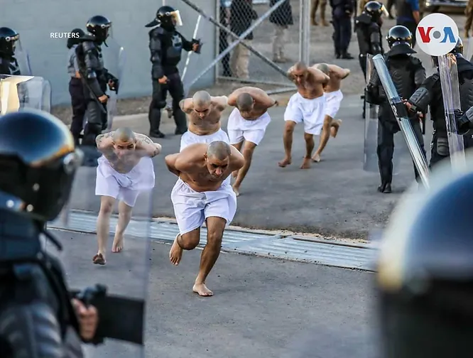ree