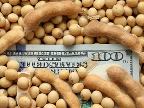 Con el dólar soja, lograron vender más de 1,7 millones de toneladas de granos