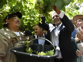 Cómo se tomó en Mendoza el anuncio de Sergio Massa de prohibir la importación de vinos