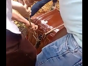 Video: enterarron “de pie” a un dirigente social en Colombia