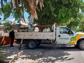 Personal de Cecsagal trabajó todo el domingo para reparar daños ocasionados por el viento