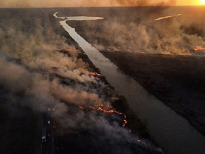 “No vamos a permanecer pasivos”, advirtió Alberto Fernández sobre los incendios en el Delta