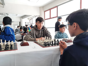 AJEDREZ: 6 Alvearenses clasificados a la Final de los Juegos Evita