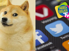 ¿Adiós al pajarito? Twitter presentó un nuevo ícono con un “famoso perrito” como protagonista