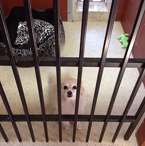 Small Bunk 2.jpg