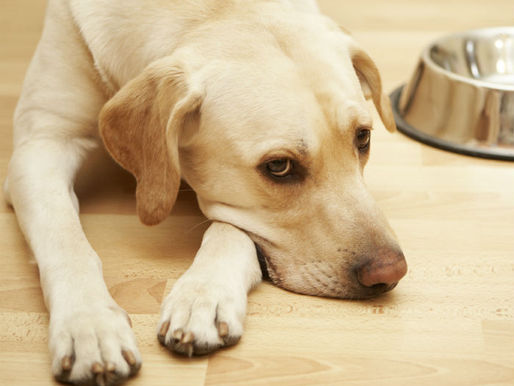 Waiting to Claim Your Social Security (Part 1)