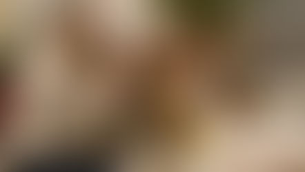 Social Security and Significant Others