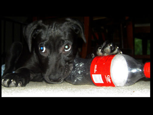 Many Will Lose the 2018 COLA