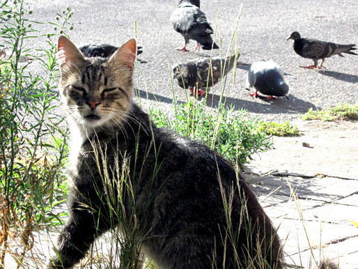 Don’t Trust Social Security’s Benefit Estimate