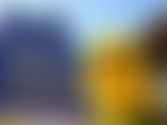 2025 Sunflower Blues & Gospel Festival