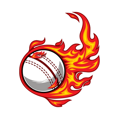 Cricket at Bramley Primary School