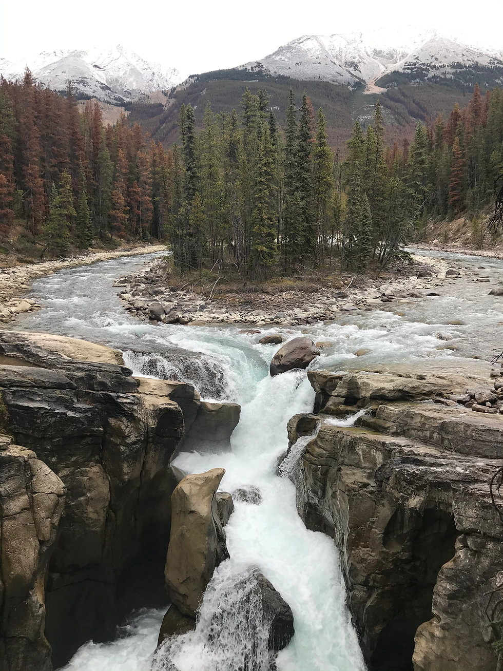 Sunwapta Falls (Fall 2019)