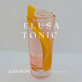 elusa-blanche-armagnac-tonic-cocktail
