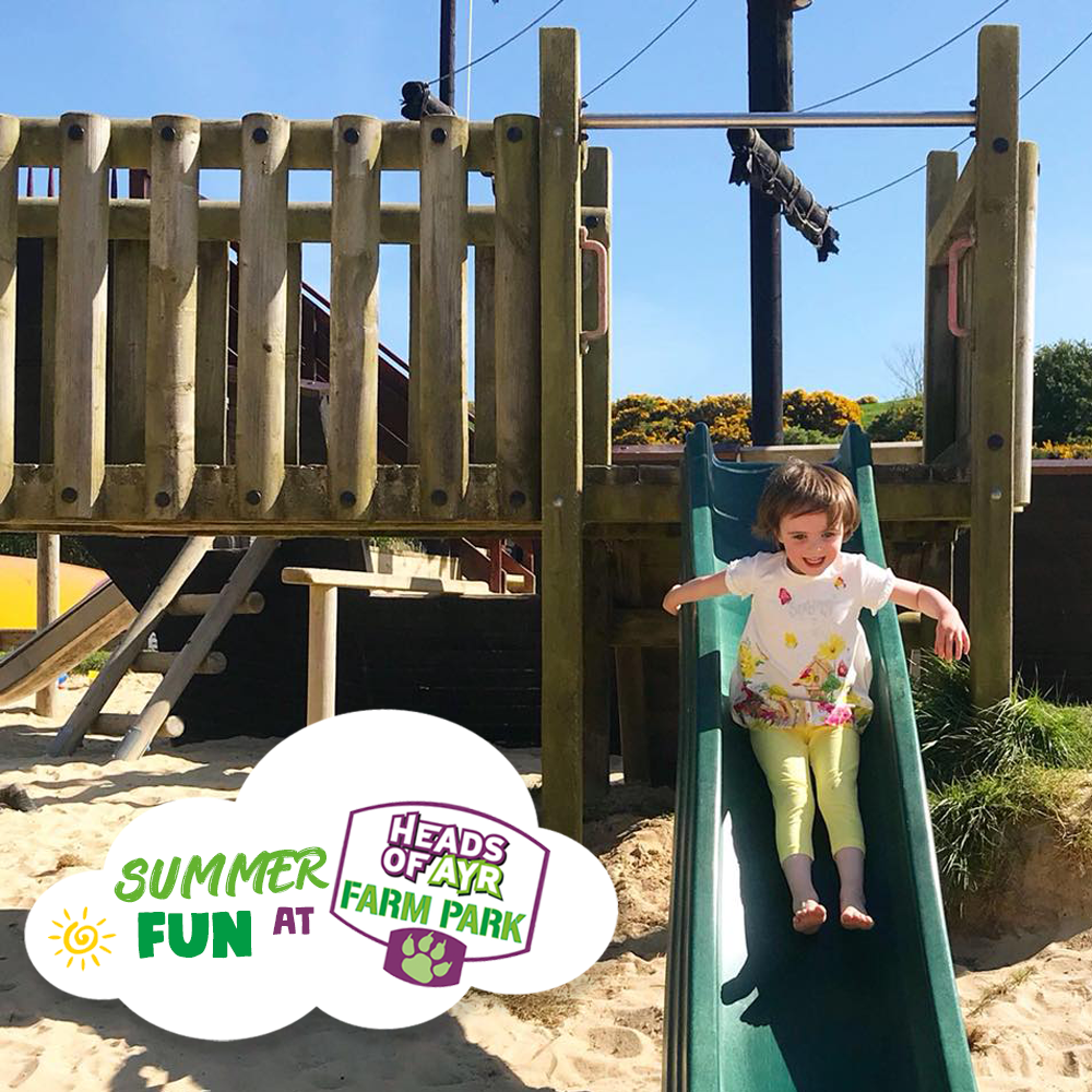 August Tickets Heads of Ayr Farm Park Heads of Ayr Tickets