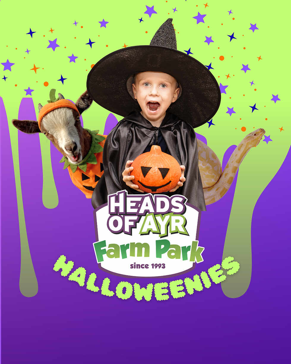 HALLOWEENIES at Heads of Ayr Farm Park!