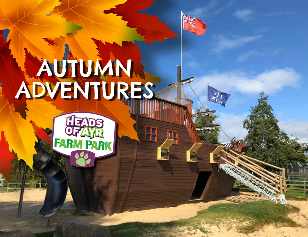 October at Heads of Ayr Farm Park Heads of Ayr Tickets