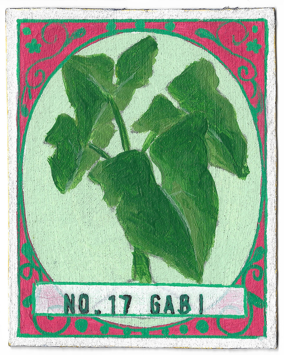 NO. 17 GABI
