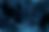 Winkler_Header2.png