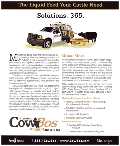 COWBOS (4) - Copy.jpeg