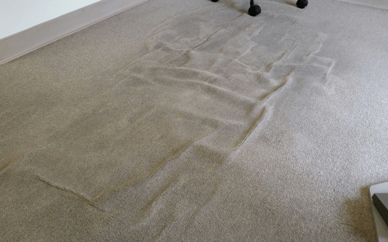 4 Reasons For Rippling & Lumpy Carpet After Cleaning