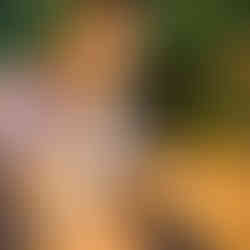 We had our first-ever egg coffees at Wayne’s Coffee, President Place, Ho Chi Minh City, Vietnam.