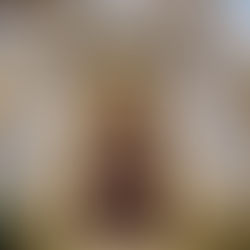 Where to See the Best Porto Tiles